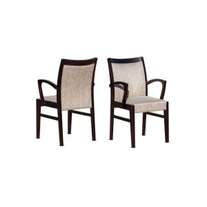 Stolica sa rukonaslonom "R 50 A-R"